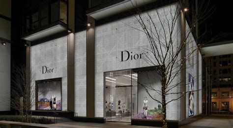 dior store in washington dc|Dior retail store.